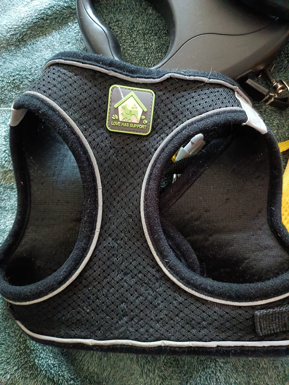 Dog Harnesses And Retractable Leashes